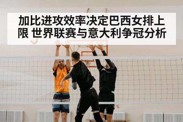 volleyball block net